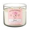 Bath & Body Works Candle 3 Wick BBW